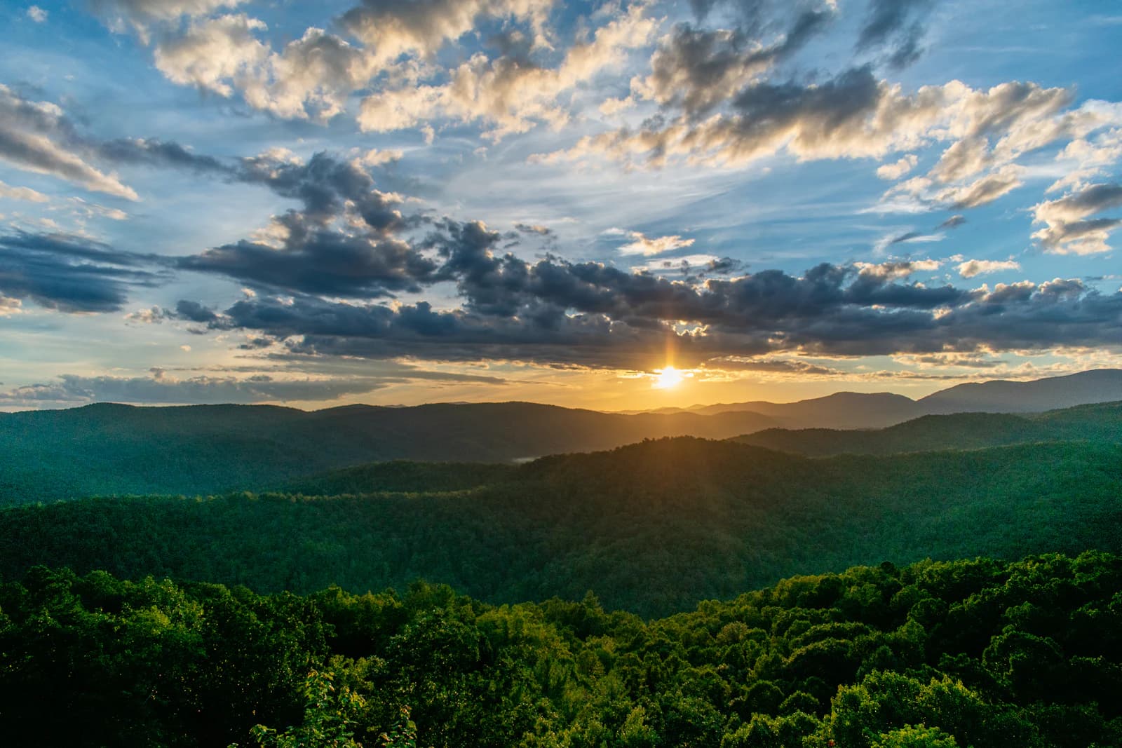 Homesteading in West Virginia: The Complete 2026 Guide