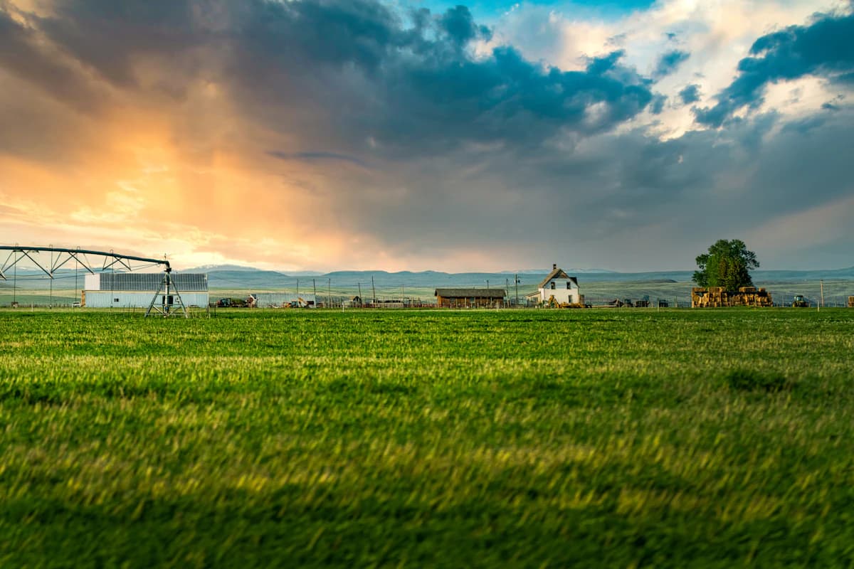 Most Tax-Friendly States for Homesteaders (2026)