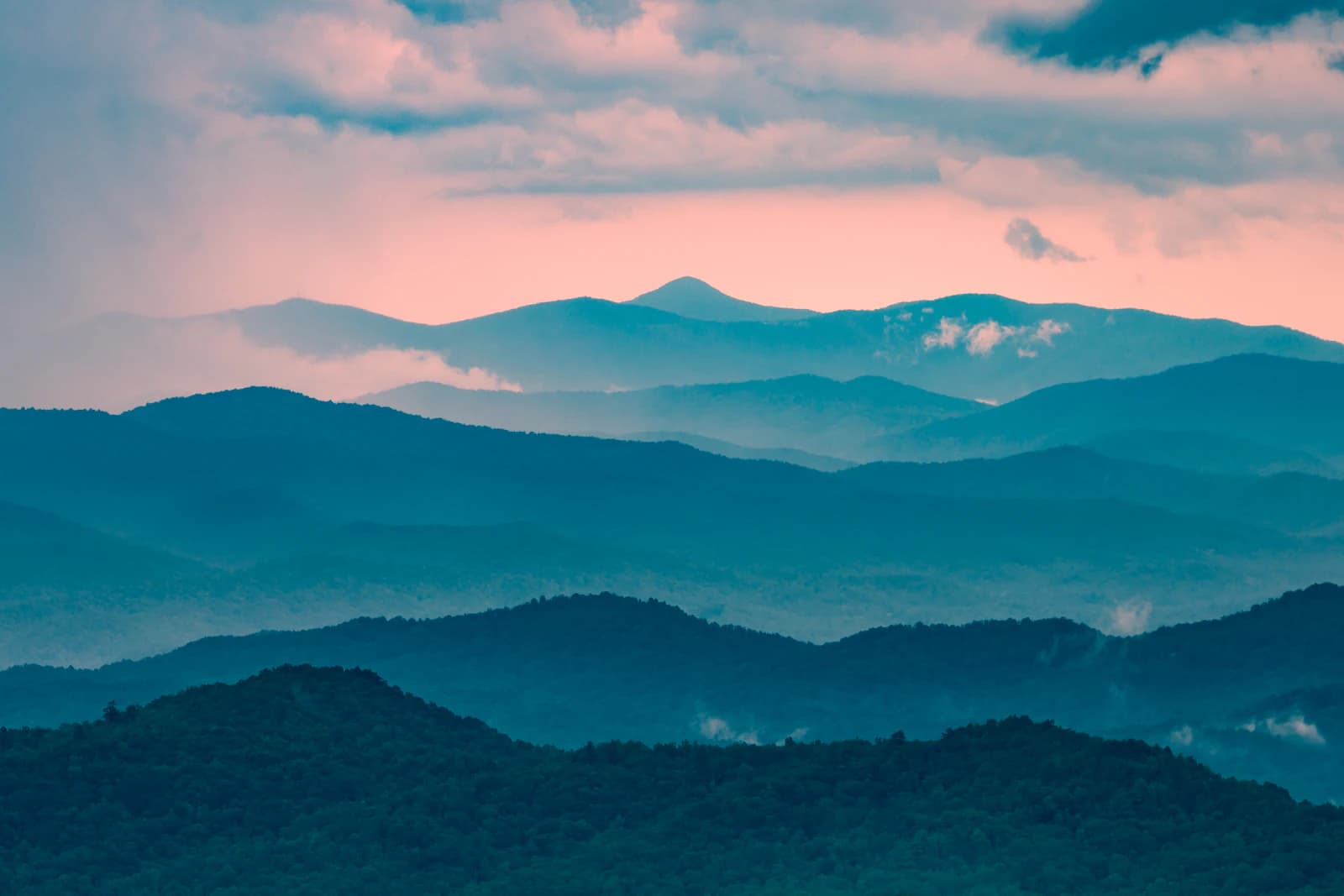 Homesteading in Georgia: The Complete 2026 Guide