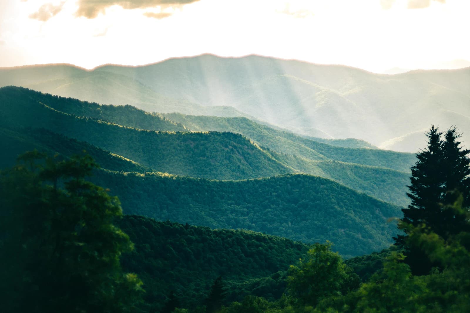 Homesteading in North Carolina: The Complete 2026 Guide
