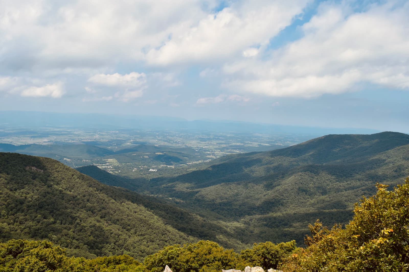 Homesteading in Virginia: The Complete 2026 Guide