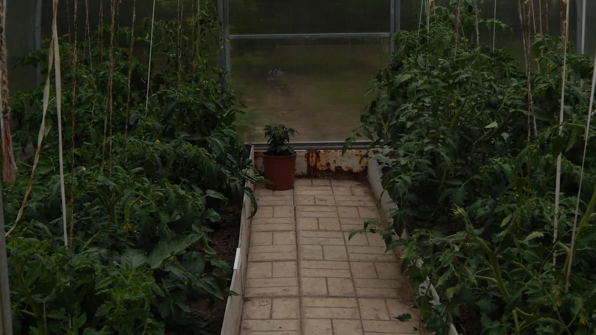 Warmest States for Year-Round Gardening (2026)