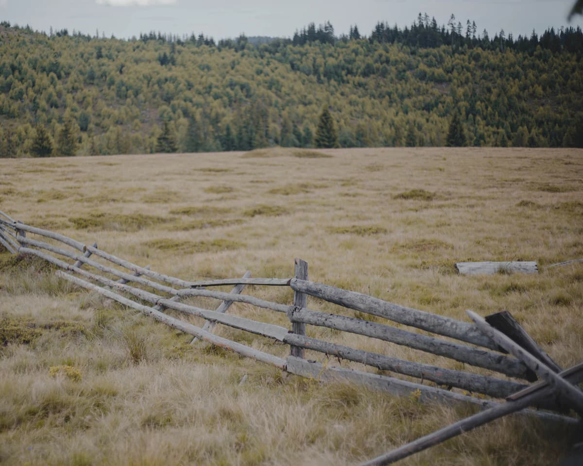 Free Land for Homesteaders: How It Really Works (2026)