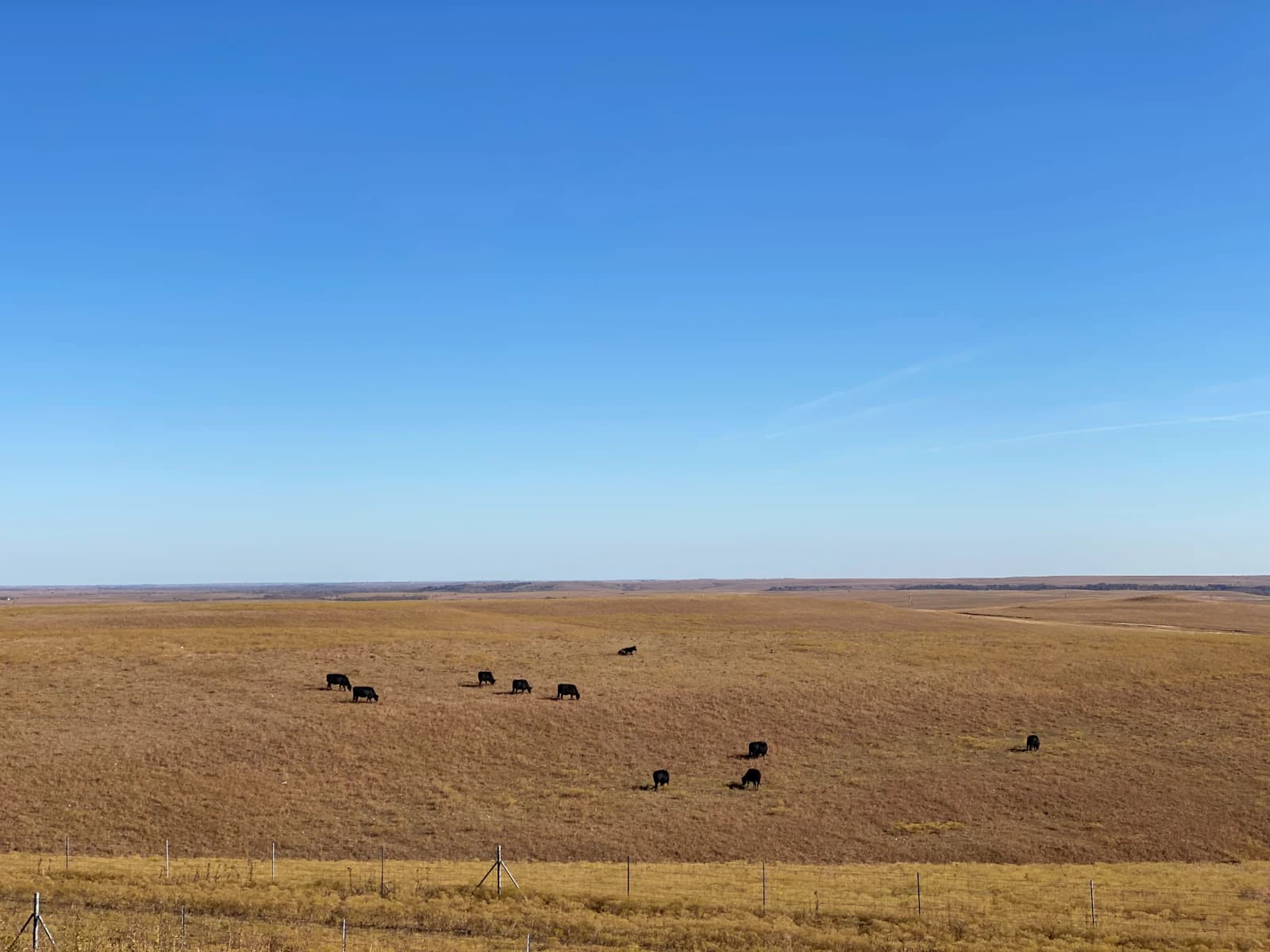 Homesteading in Kansas: The Complete 2026 Guide
