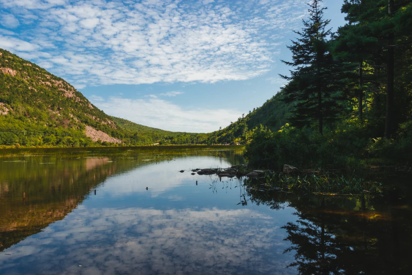 Homesteading in Maine: The Complete 2026 Guide