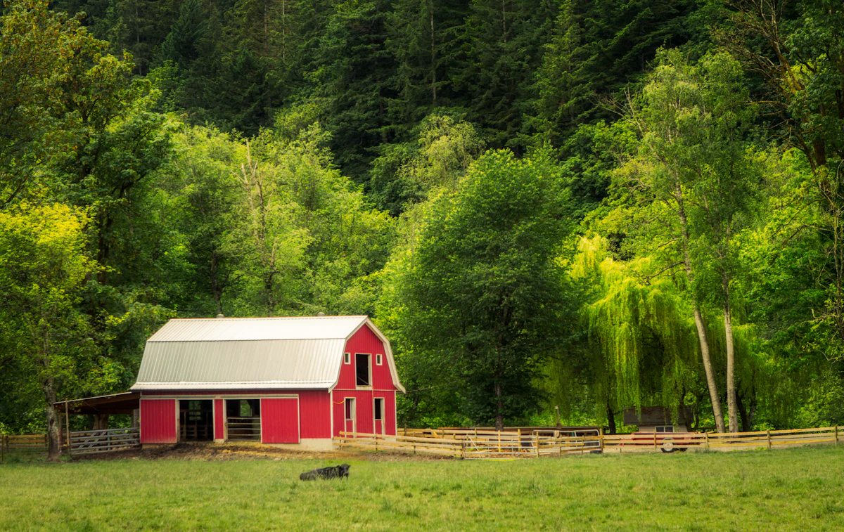 A classic red barn in a green Missouri farm field
