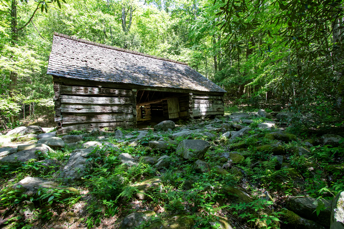 Owner-built log cabin on cheap no-code rural acreage