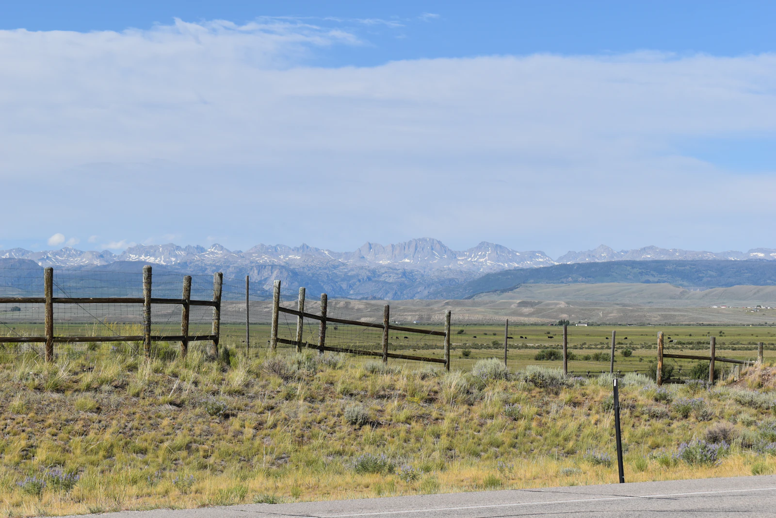 Arid Colorado high-plains rangeland with sagebrush and a weathered fence
