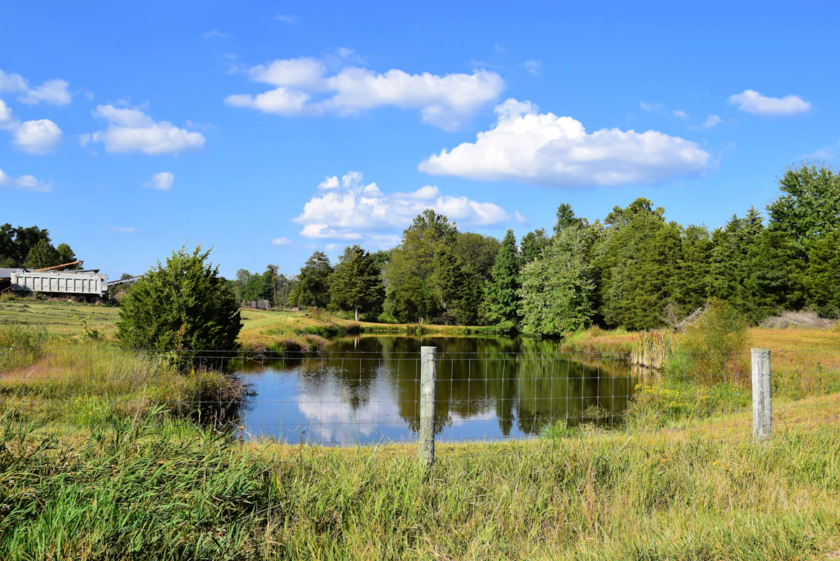 A calm farm pond ringed by grass and trees under a blue sky