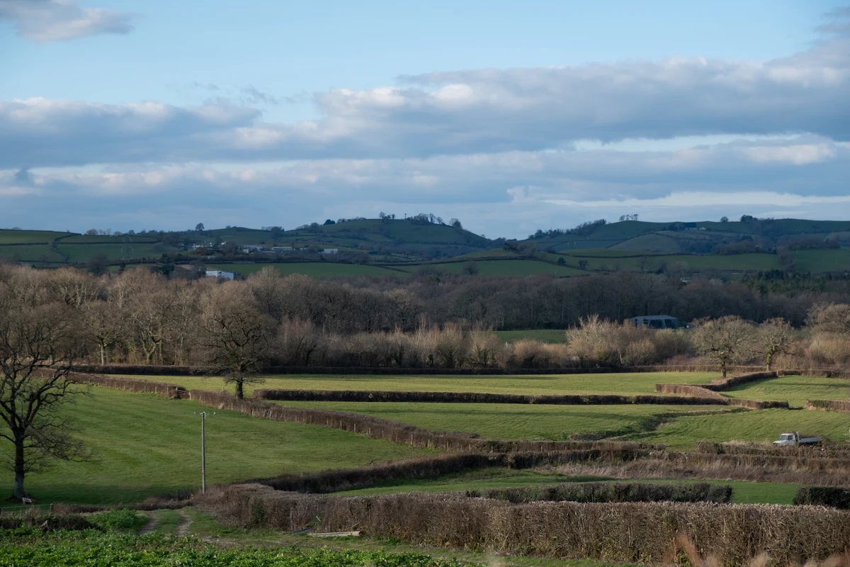 Open rural acreage of rolling green fields and pasture