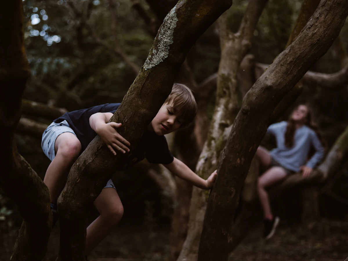 Two children exploring and climbing trees in a wooded forest