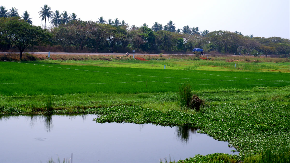 A farm irrigation reservoir in a rural landscape
