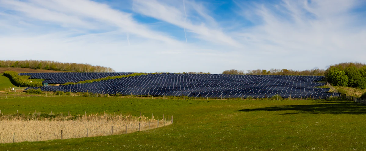 A field of solar panels under a bright blue sky